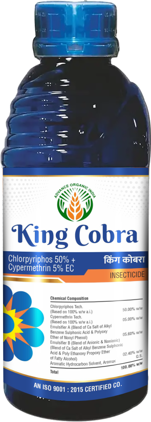 King Cobra